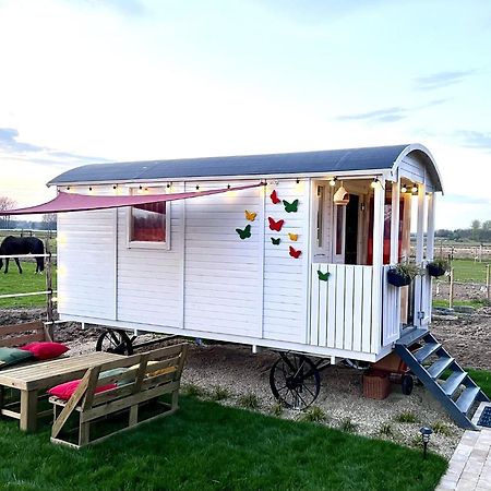 Ontwaken Tussen De Paarden Bed and Breakfast Zoutleeuw Eksteriør billede
