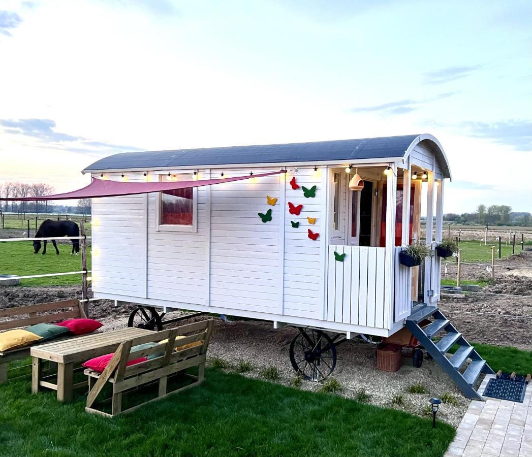Ontwaken Tussen De Paarden Bed and Breakfast Zoutleeuw Eksteriør billede