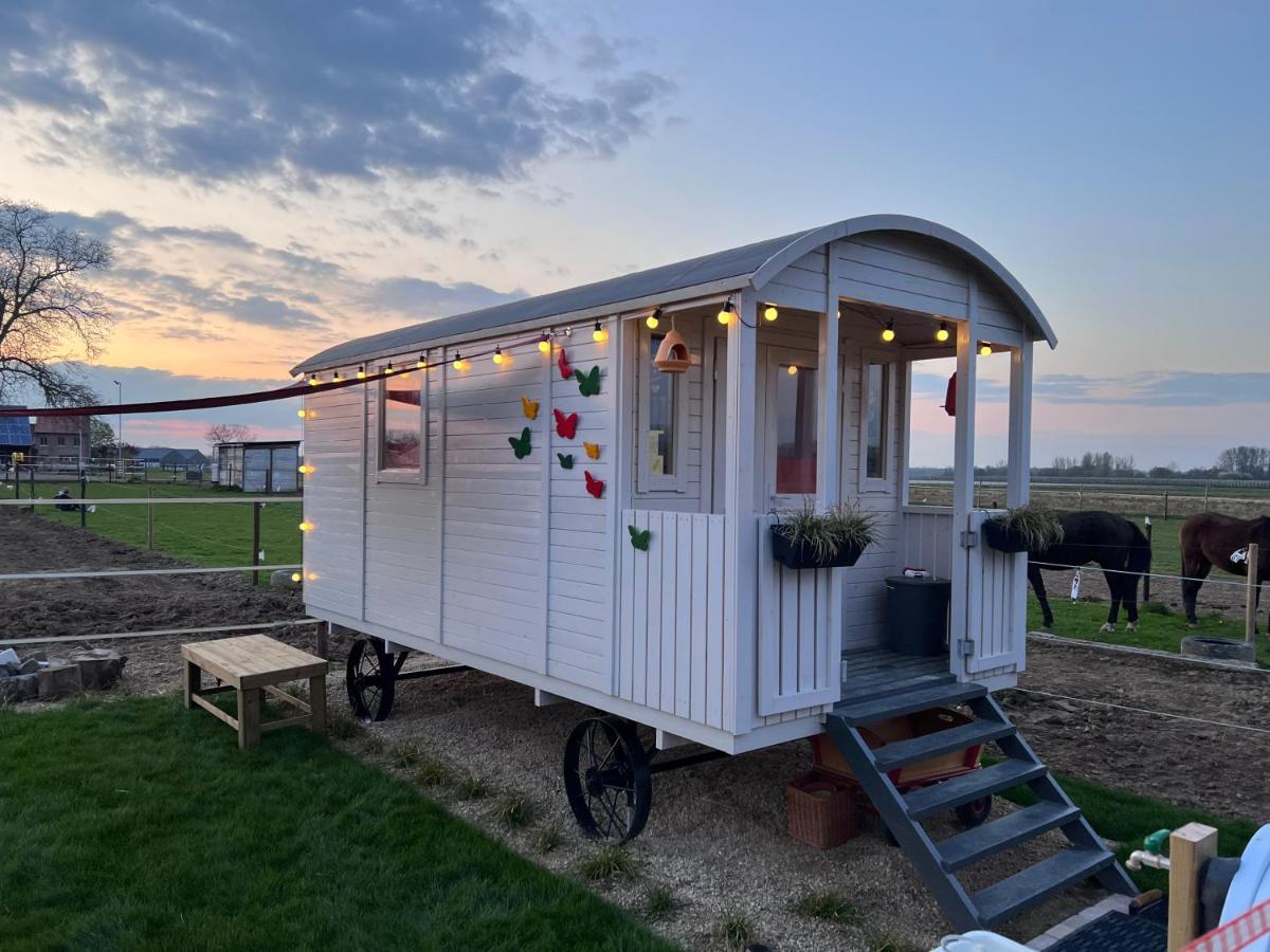Ontwaken Tussen De Paarden Bed and Breakfast Zoutleeuw Eksteriør billede